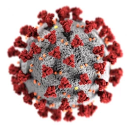 Helpful Resources for Businesses Impacted by COVID-19